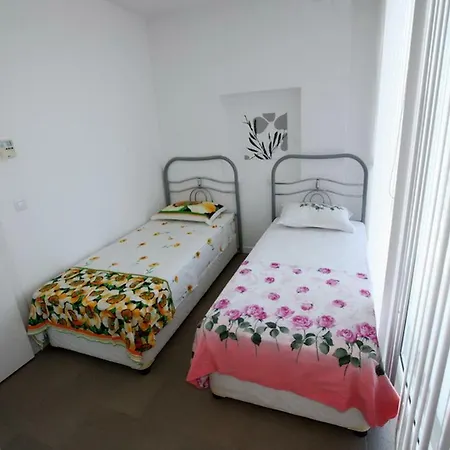 فيلة Feronia Sun بيليك